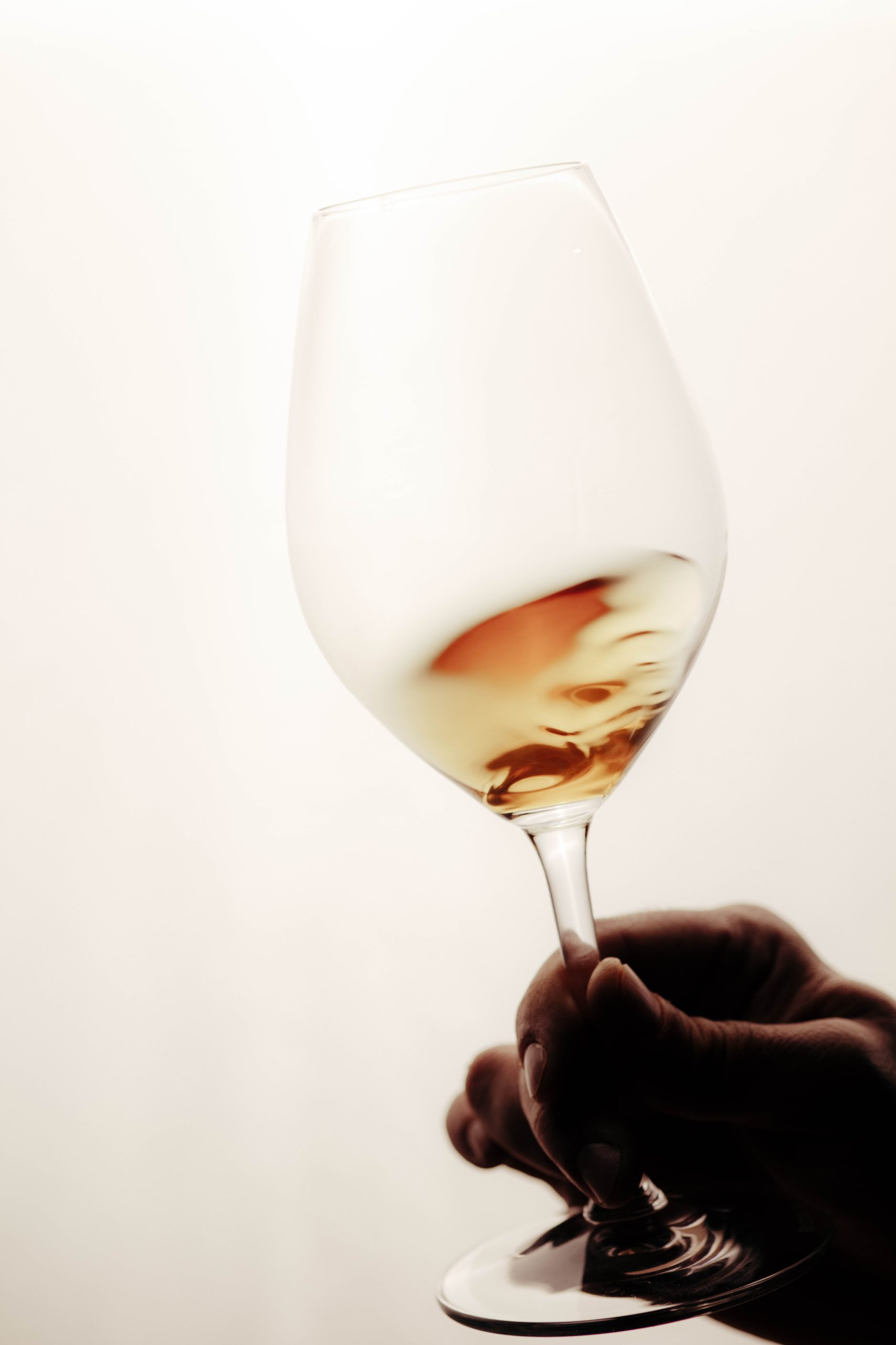 02_FEBRERO_GASTROBODEGA_Capture0161