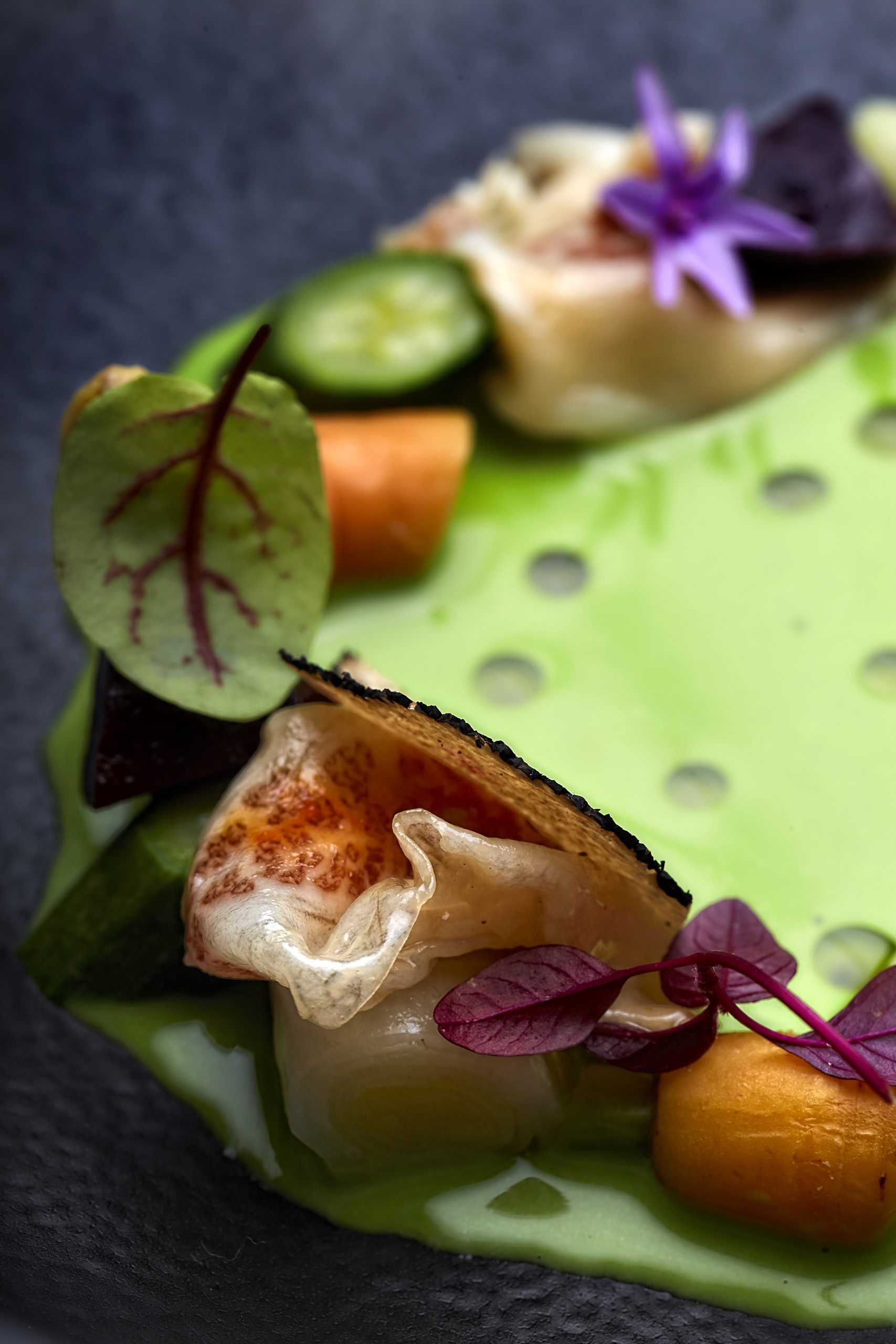 VERTICAL VERDURAS 25